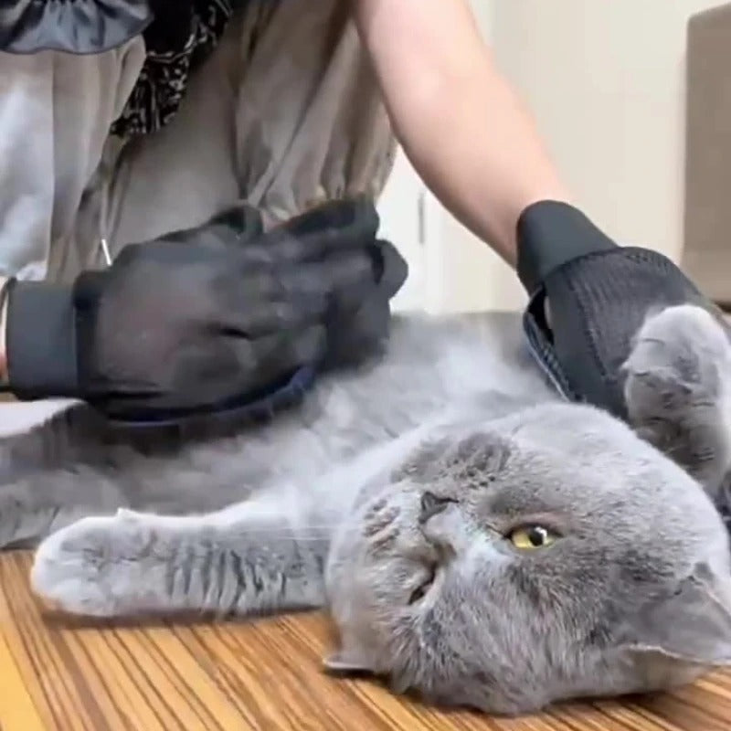 Pet Hair Removal Grooming Gloves